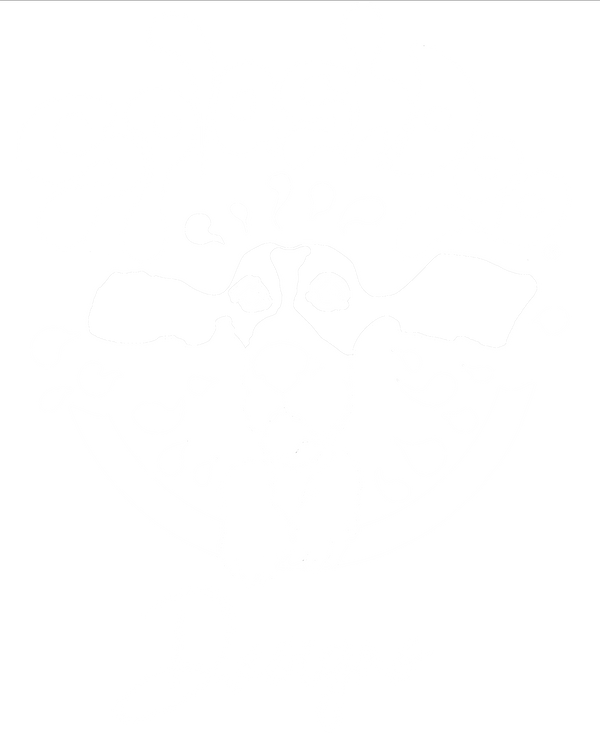 SplashDog Designs